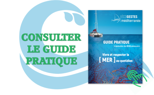 consulter_le_guide_pratique
